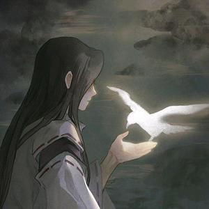 国产精品毛片在线更新
