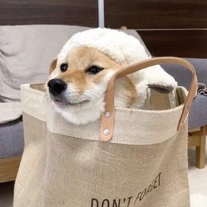 国产精品毛片在线更新
