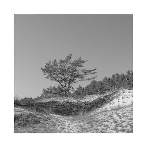 国产精品毛片在线更新
